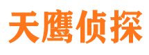 景宁侦探公司